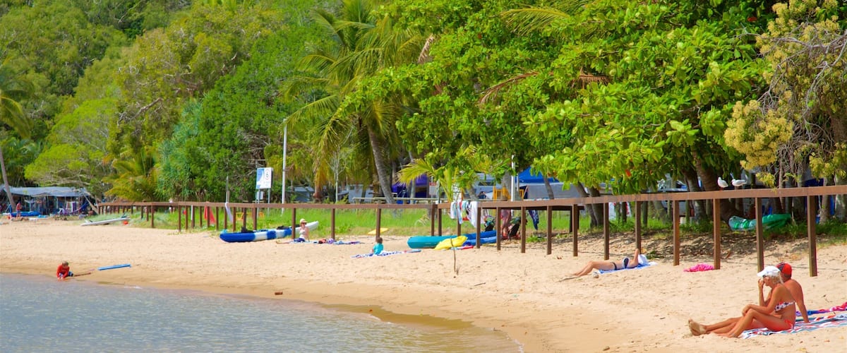 A sandy beach with palm trees, a wooden pier, and several kayaks.