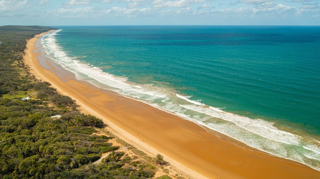 Agnes Water which includes landscape views, general coastal views and a sandy beach