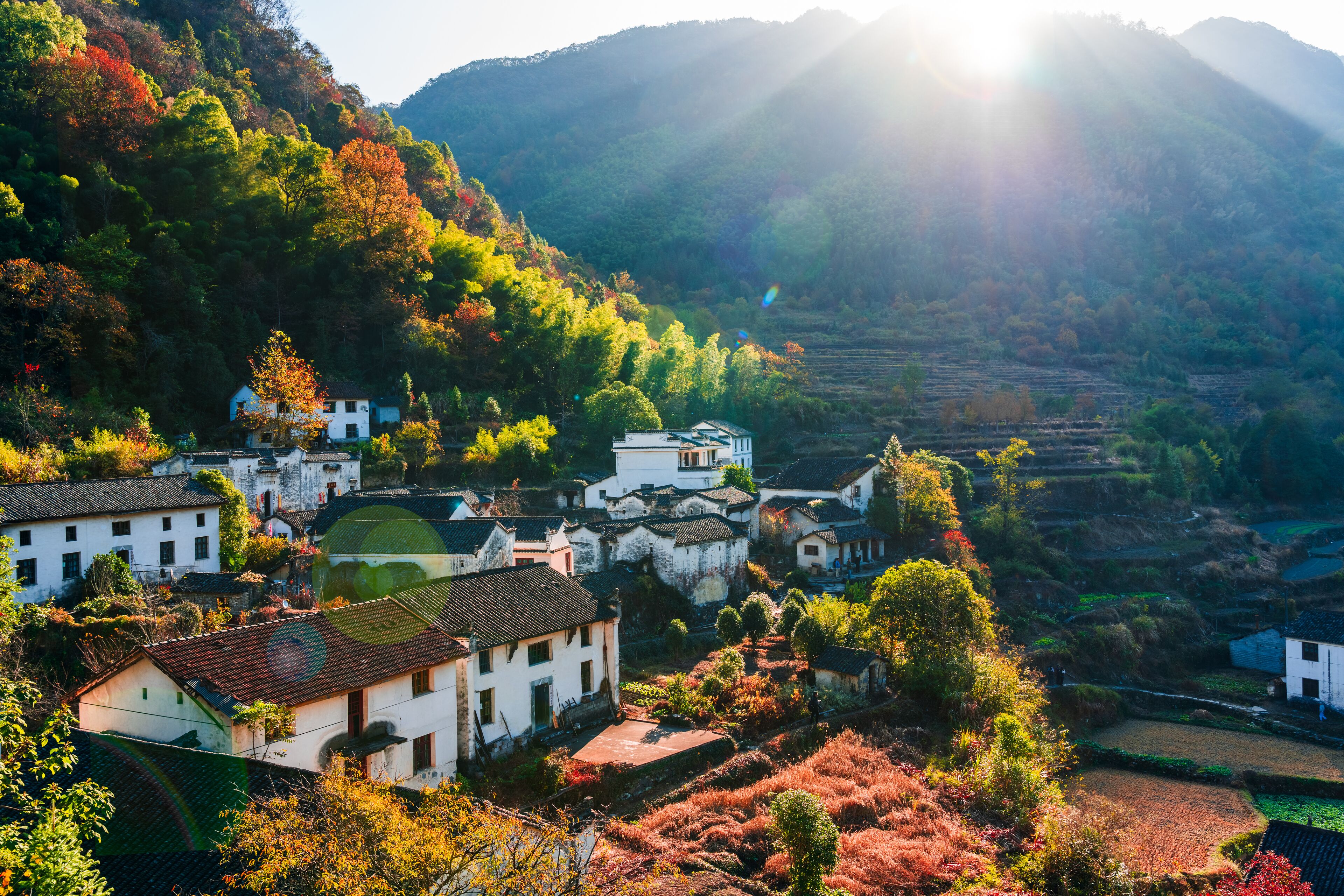 A village with traditional houses nestled in a hilly landscape with terraced fields.