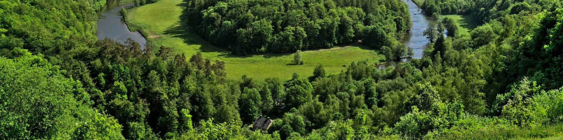 A river winding through a dense forest with rolling hills in the background.