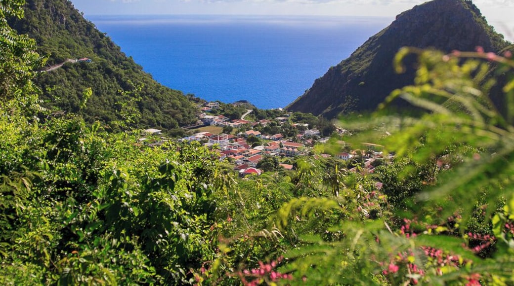 The Bottom, Saba