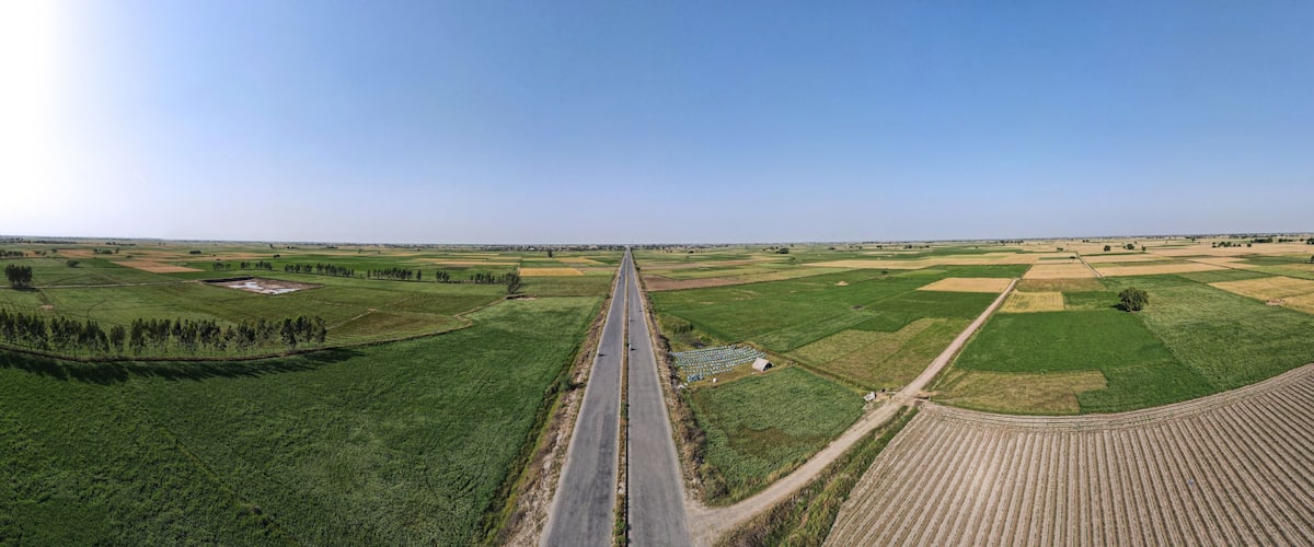 A straight road through a rural landscape with green fields and a clear sky.