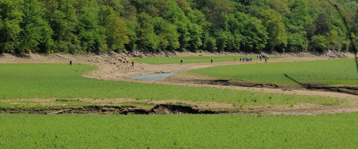 A river flowing through a green valley with a forested hillside in the background.