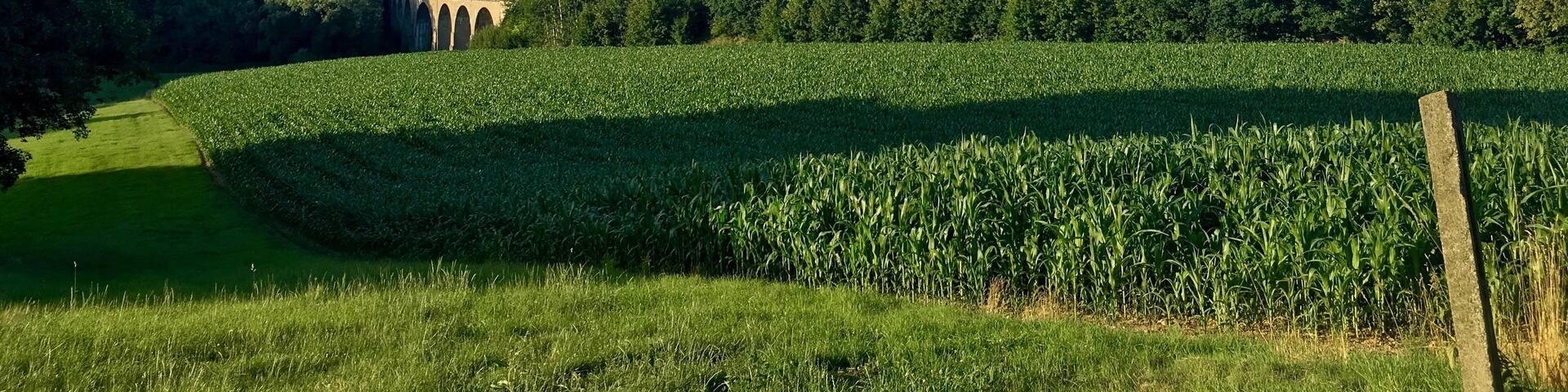 Eisenbahnviadukt Gröditz vom Jakobsweg aus gesehen