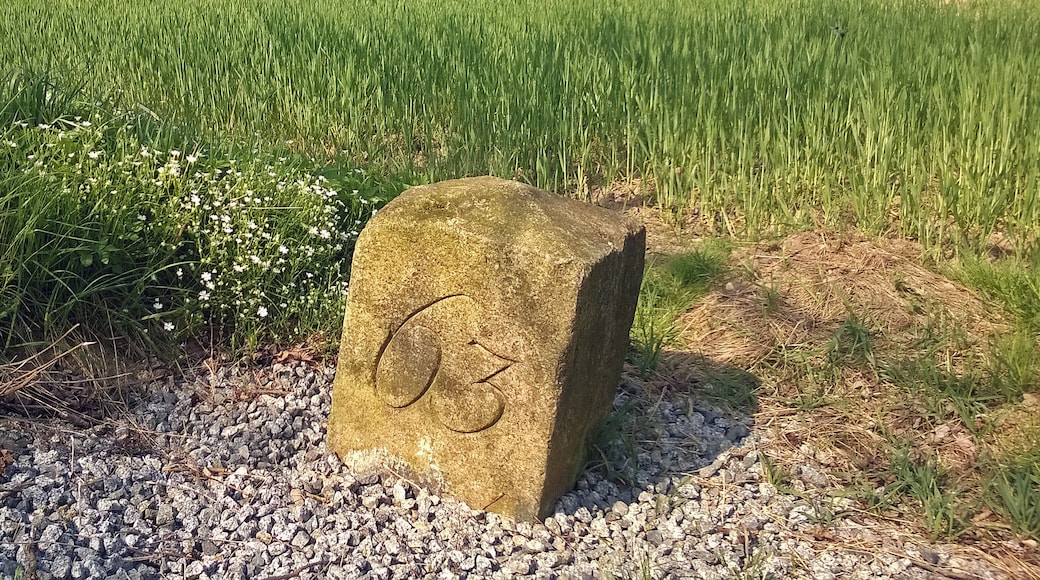 Grenzstein Nr. 63 Historische Landesgrenze Königreich Sachsen Königreich Preußen 1815 (Wiener Kongress)