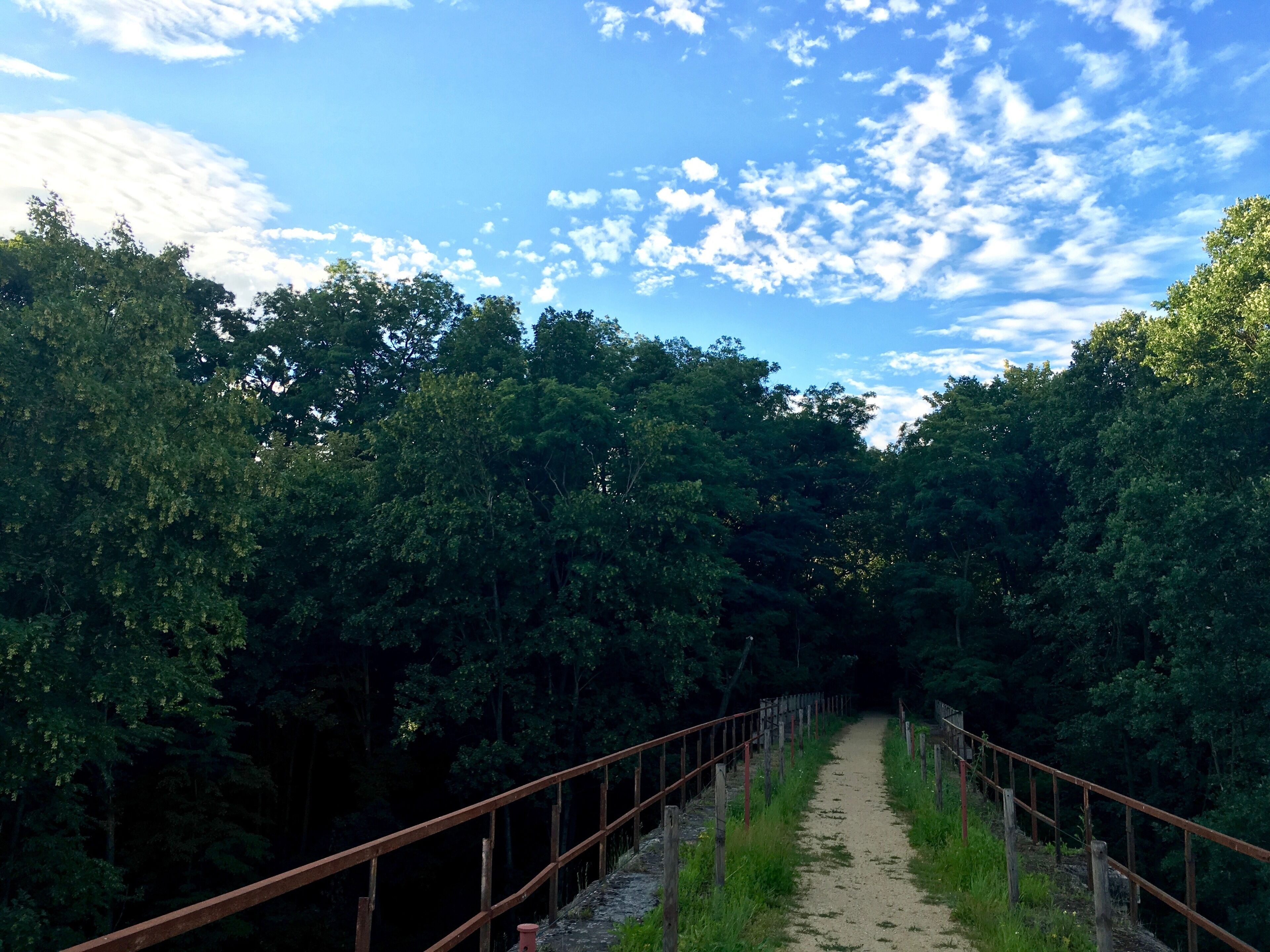 Aufgenommen auf dem Viadukt der ehem. Bahnstrecke Löbau-Radibor