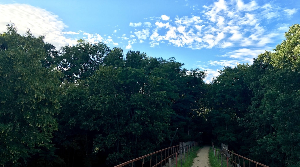Aufgenommen auf dem Viadukt der ehem. Bahnstrecke Löbau-Radibor