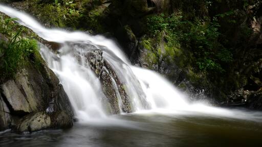 (NSG:BW-3.024)_Wutachschlucht