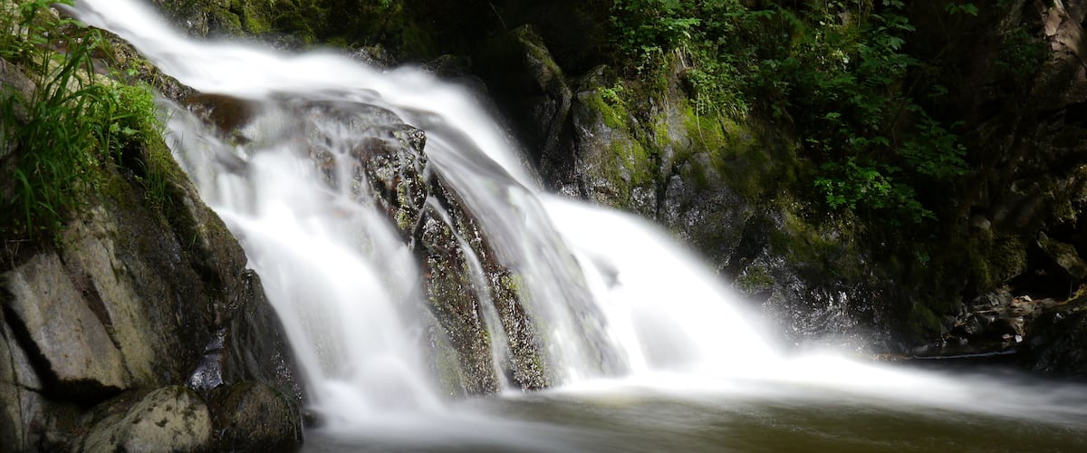 A waterfall cascading over rocks in a lush, green forest.