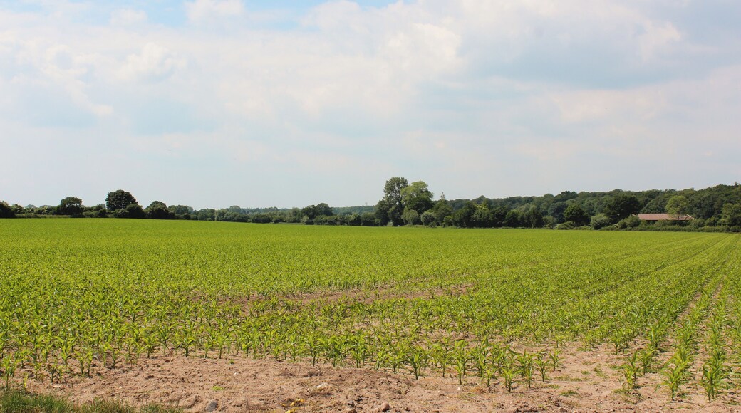 Leuchtturmstraße, Dahme