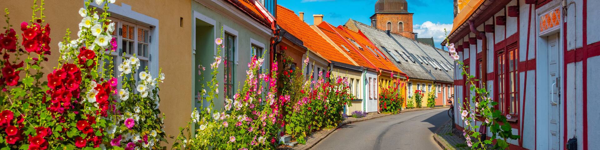 Traditional colorful street in Swedish town Ystad