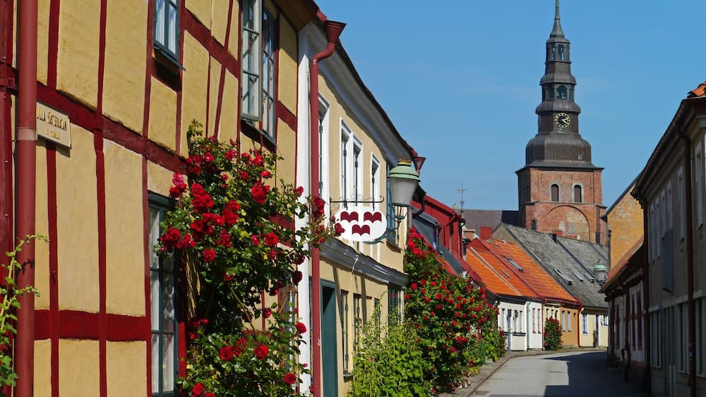 Ystad featuring street scenes, flowers and a small town or village