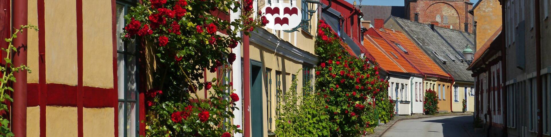 Ystad featuring street scenes, flowers and a small town or village