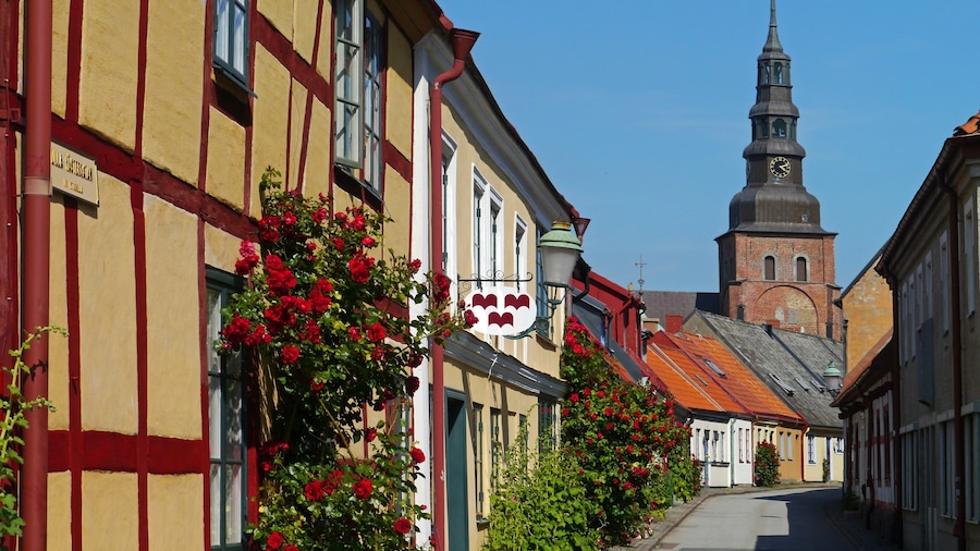 Ystad featuring street scenes, flowers and a small town or village