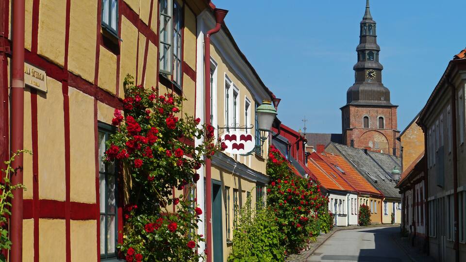 A narrow street lined with traditional half-timbered houses, red flowers, and a church tower in the background.