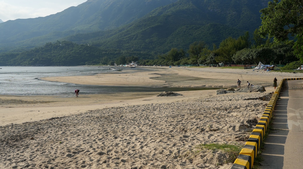 beach and sea