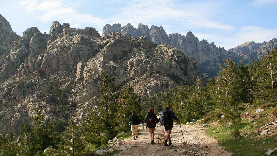 A rocky mountain path with hikers and a forested backdrop.