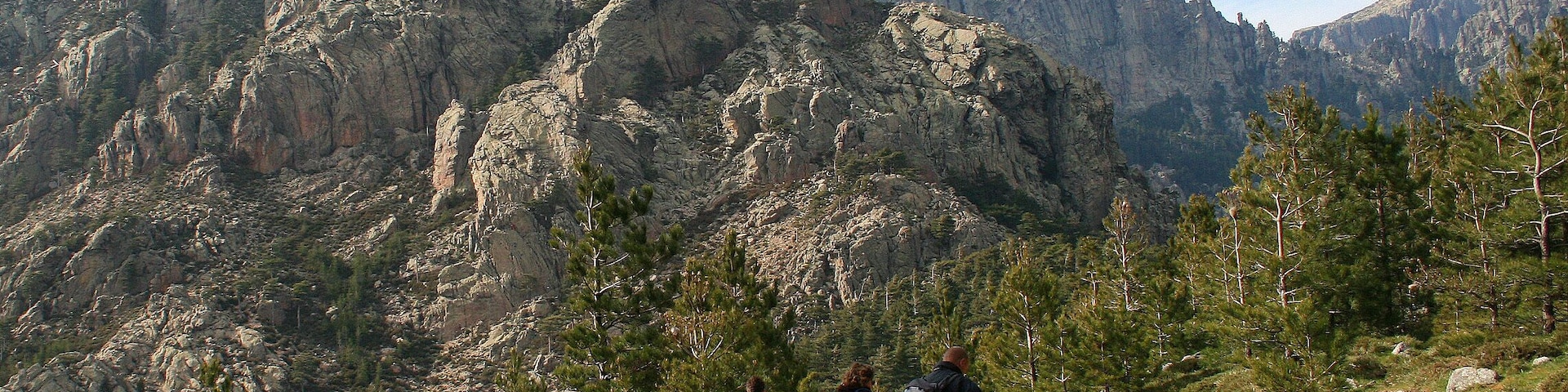 Zonza France (Corse-du-Sud), the Bavella needles. Trees are Pinus nigra subsp. salzmannii var. corsicana.