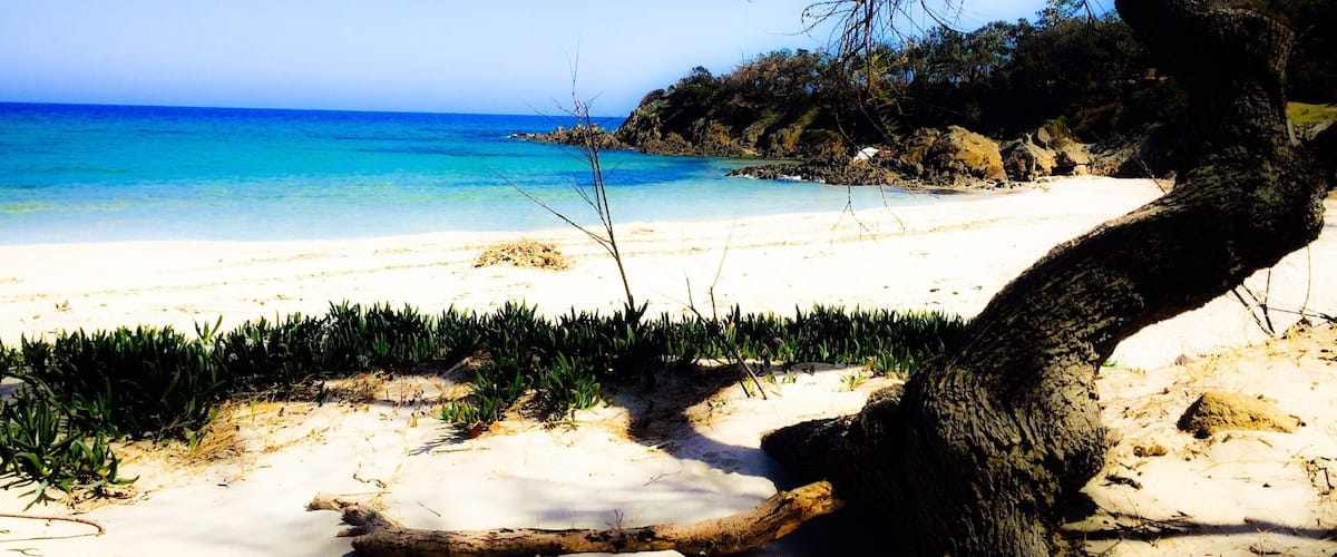 A beach with clear turquoise water, sandy shore, and a prominent tree in the foreground.