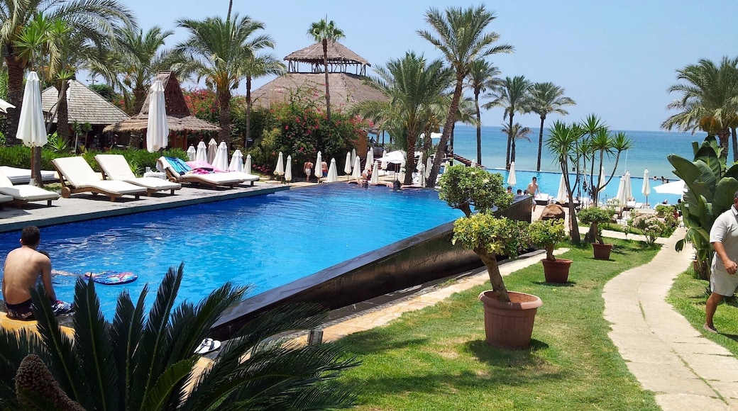 Relaxing spot right on the seafront with a calm tropical vibe great for unwinding.