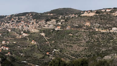 دامور