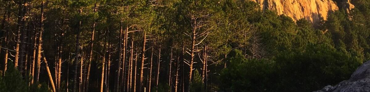Shortly after leaving the refuge d' I Paliri, along the GR20 on Corsica, just after the ruined Bergeries Capeddu the Punta di l'Anima Damnata (Point of the damned soul) comes into view.
#hiking
#mountains photo challenge