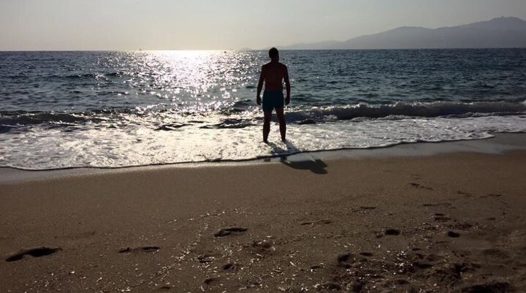 Just want to dive at this moment! #sea #diving #corsica