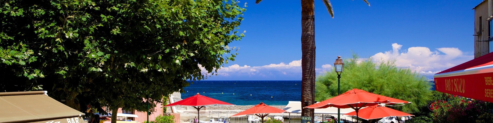 Terraza al aire libre con sombrillas rojas, una palmera y vista al mar.