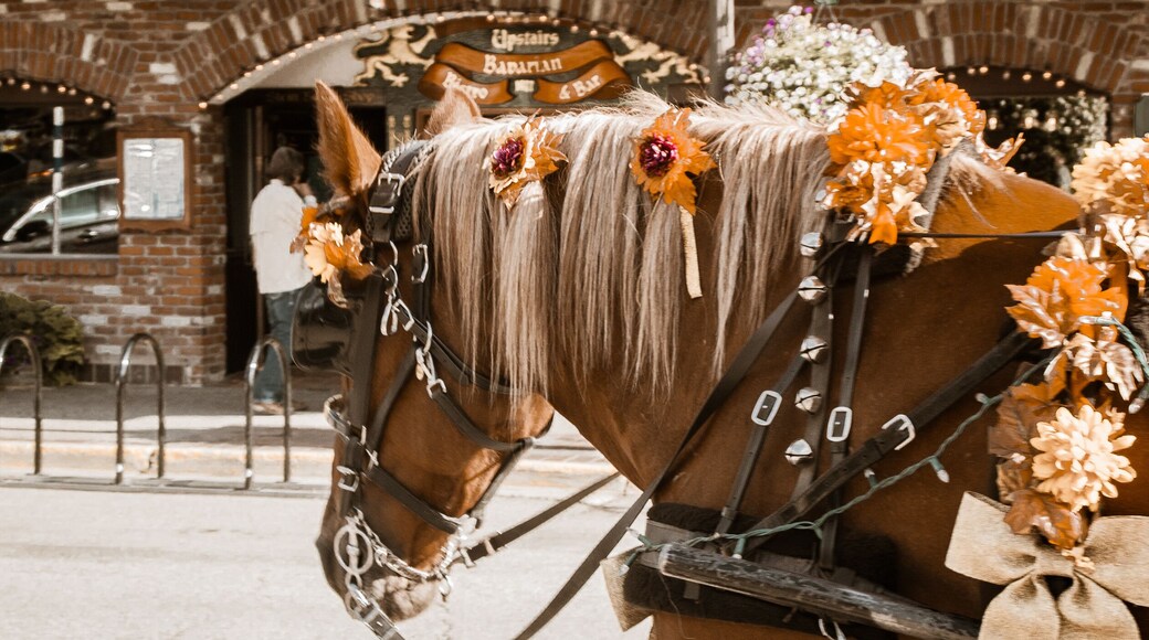 Horse-Drawn Carriage Leavenworth