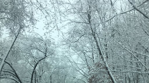 Last snowfall of winter