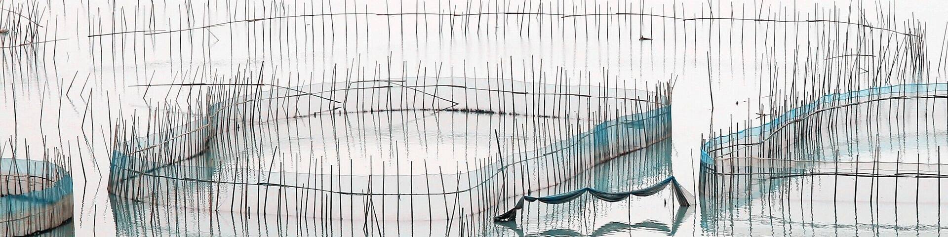 The purse net of #Xiapu.
#霞浦八尺门围网.
https://twitter.com/Beautifulgx