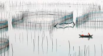 The purse net of #Xiapu.
#霞浦八尺门围网.
https://twitter.com/Beautifulgx