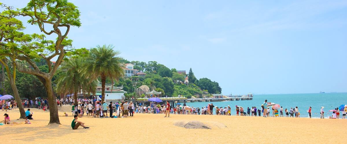 A crowded beach with palm trees and a pier in the background.