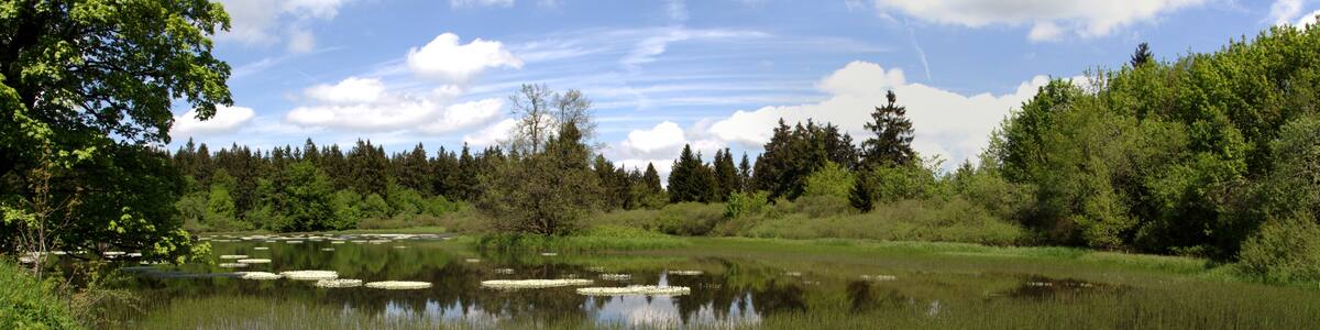 This is a picture of the protected area listed at WDPA under the ID