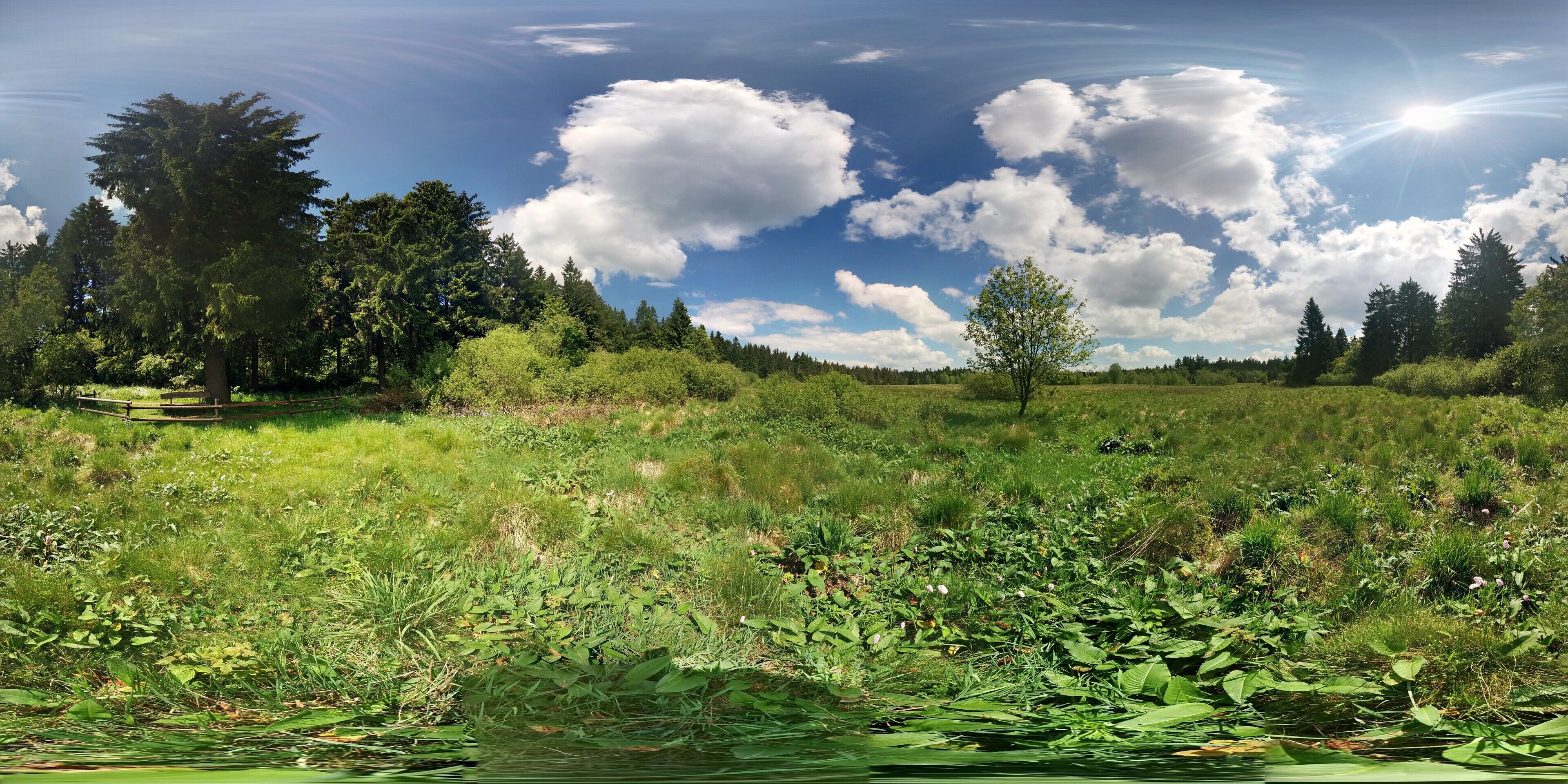 Photosphere: "Naturschutzgebiet In der Breungeshainer Heide" in "Naturpark Hoher Vogelsberg" near Geiselstein Schotten, Hesse, Germany