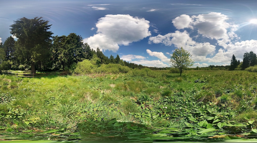 Photosphere: "Naturschutzgebiet In der Breungeshainer Heide" in "Naturpark Hoher Vogelsberg" near Geiselstein Schotten, Hesse, Germany