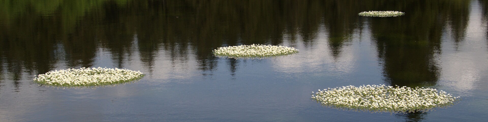 This is a picture of the protected area listed at WDPA under the ID