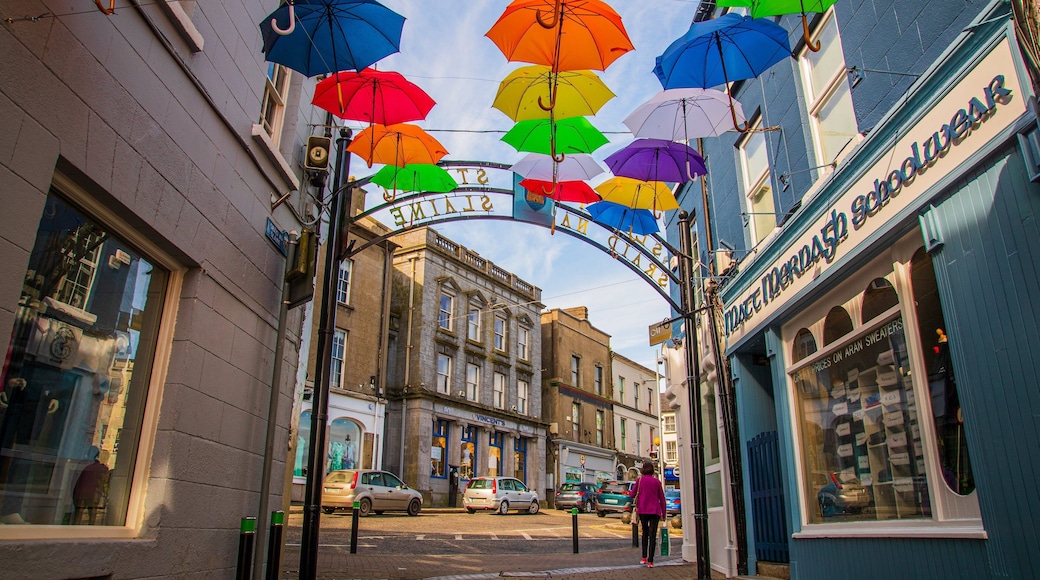 Enniscorthy featuring street scenes