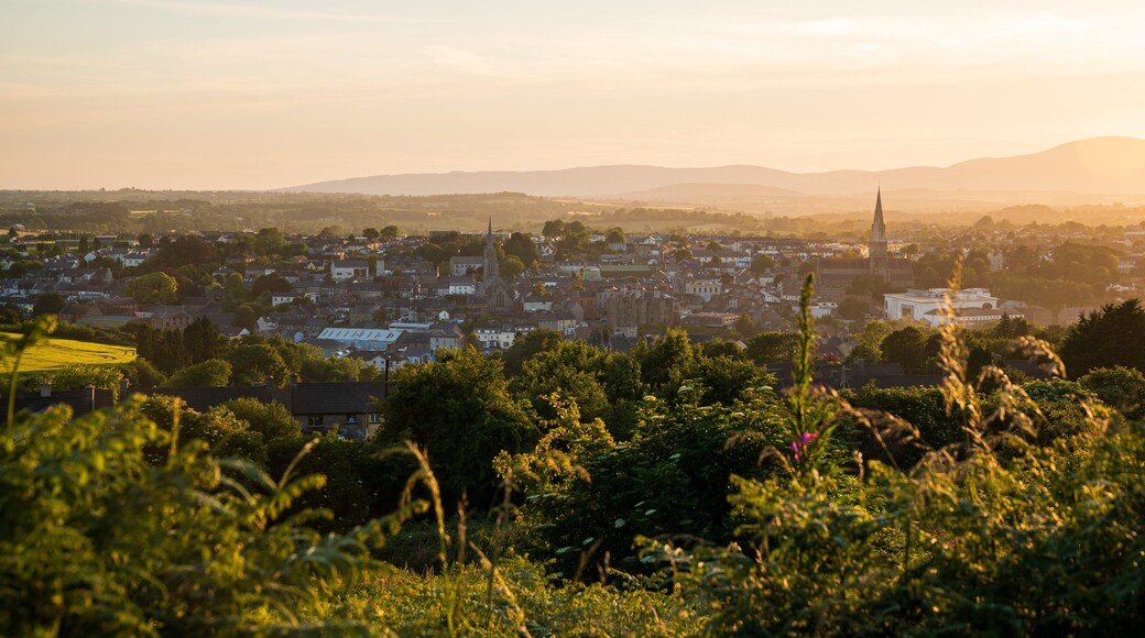 Enniscorthy which includes a sunset and landscape views