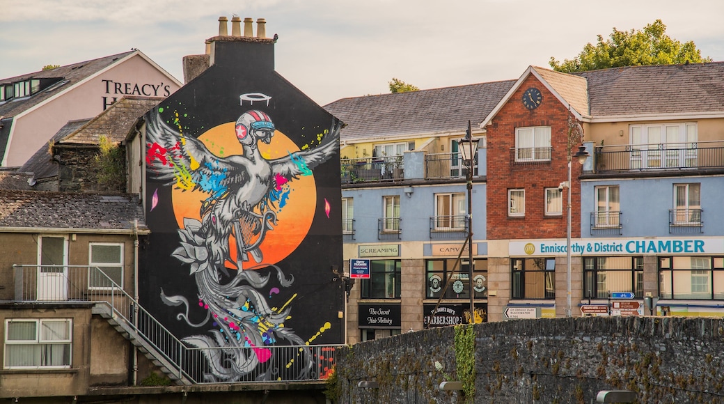 Enniscorthy featuring outdoor art
