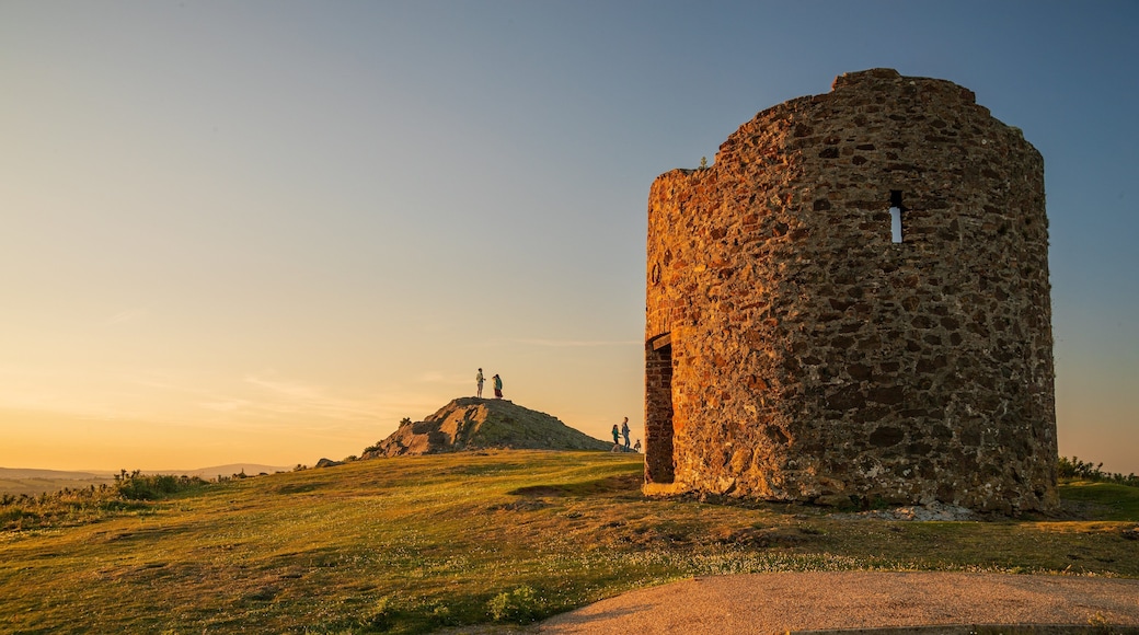 Enniscorthy which includes building ruins, a sunset and tranquil scenes