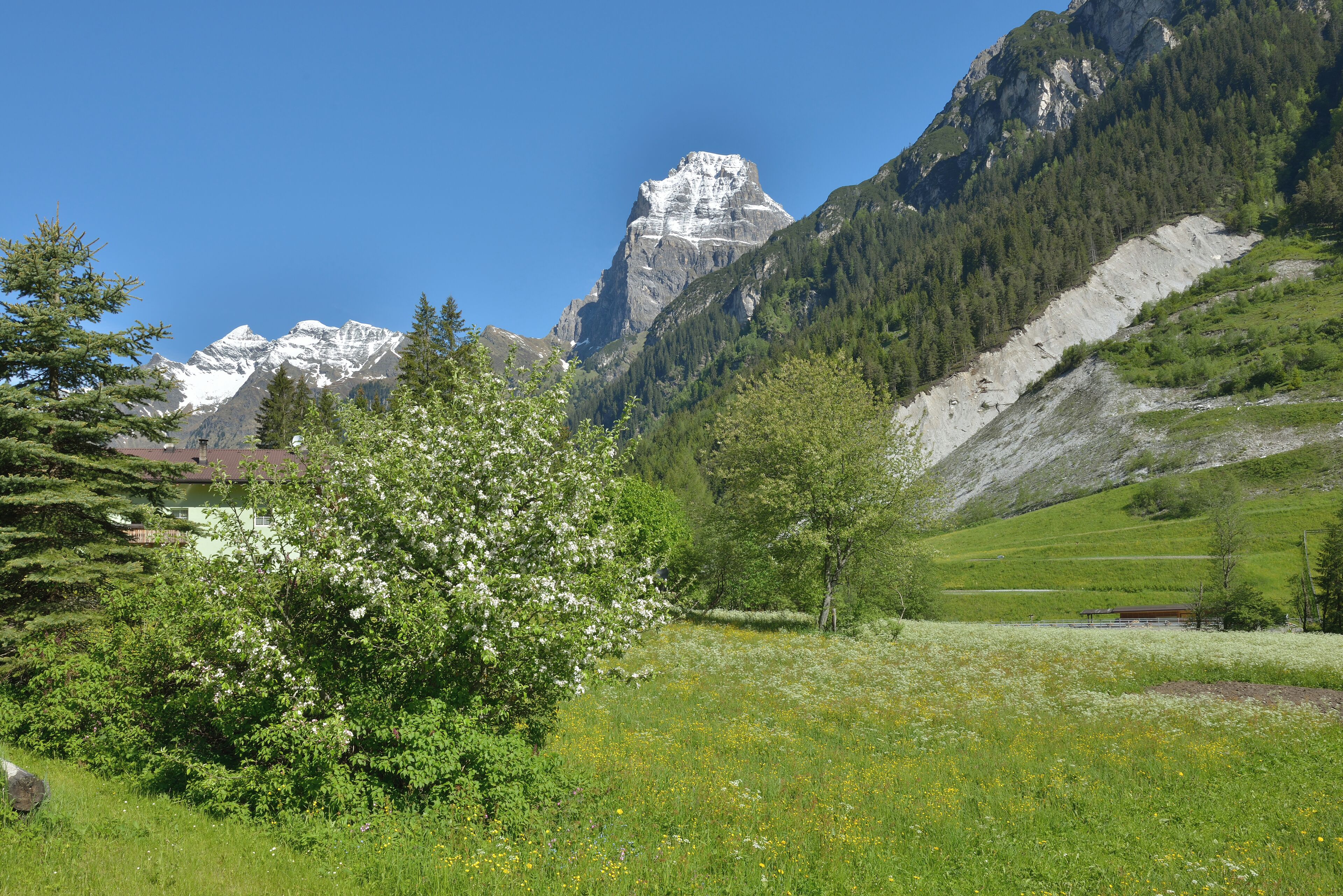 The Pflersch Tribulaun peak (Elevation 3,097 m) from SE in spring in Pflersch in South Tyrol