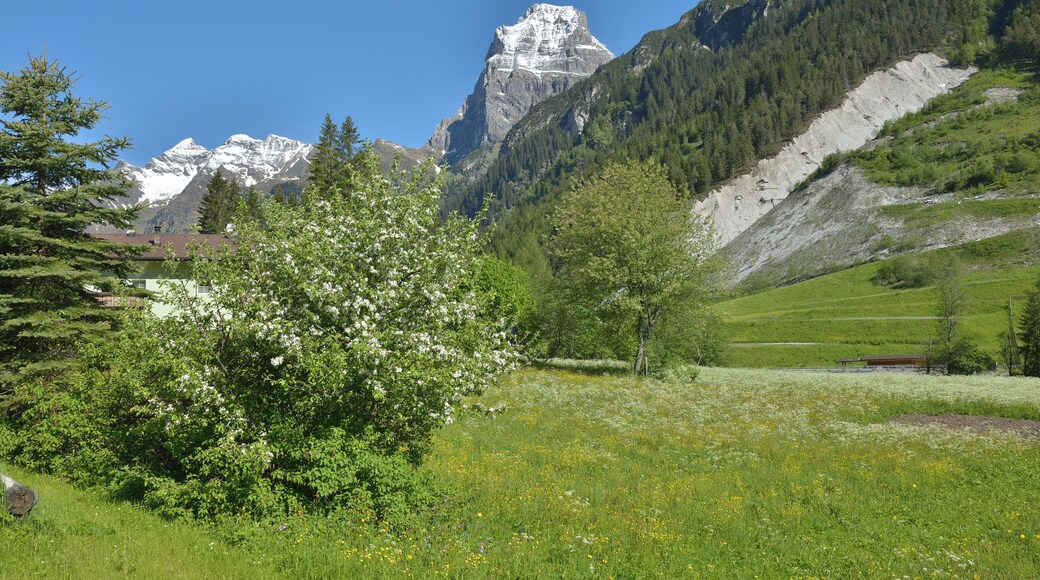 The Pflersch Tribulaun peak (Elevation 3,097 m) from SE in spring in Pflersch in South Tyrol