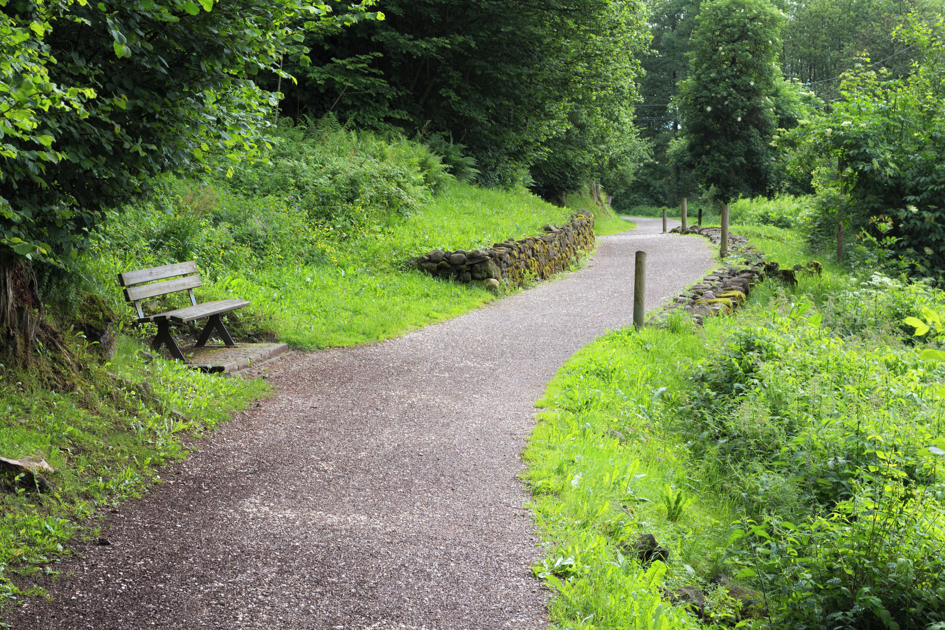 Biotopo Paludi di Sternigo. Sentiero che porta alle paludi. (Q3640230)