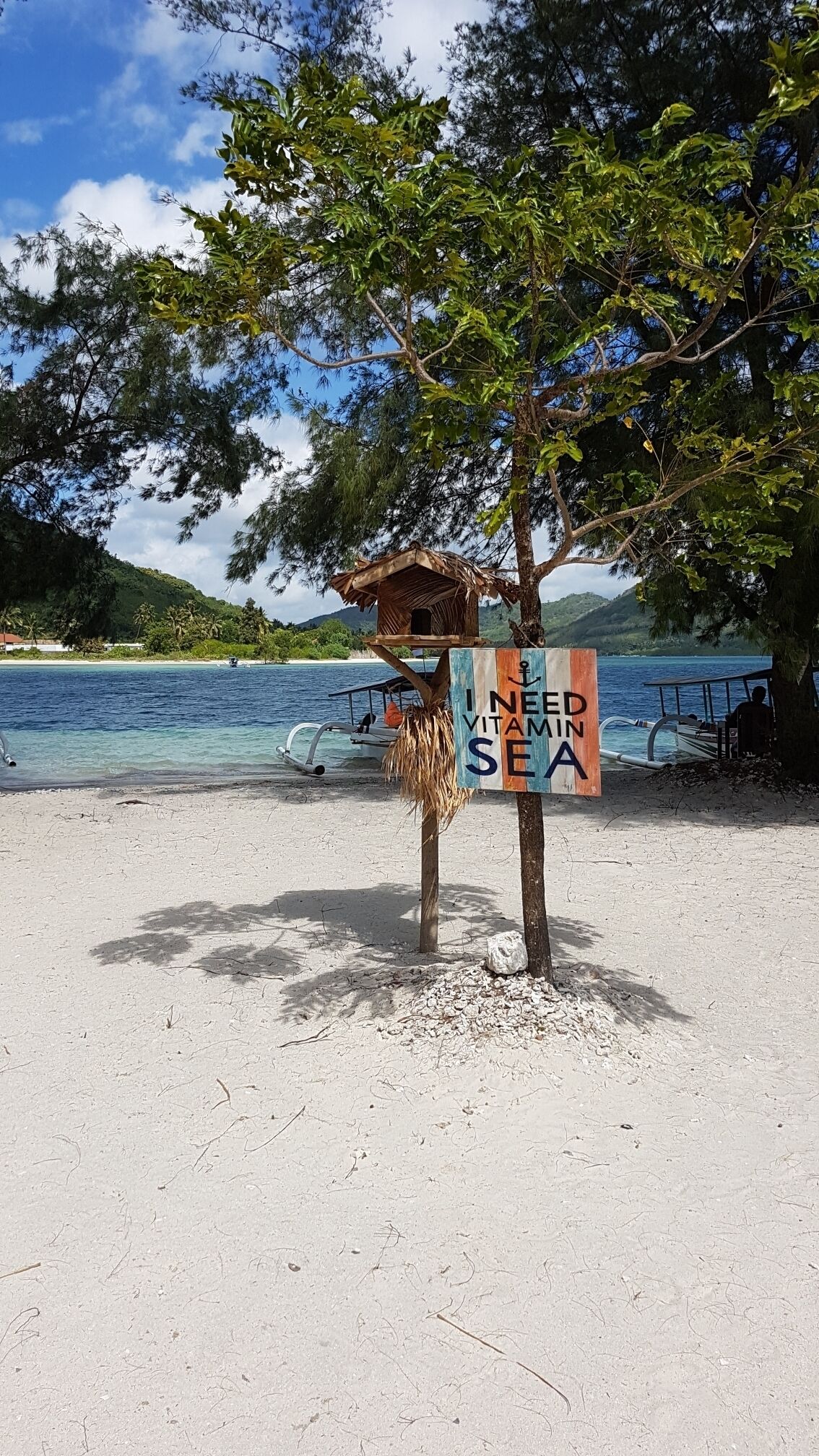 "I need vitamin sea" 

One of my favourite islands as it is peaceful, beautiful and not overrun with tourists 

#lifeatexpedia #blue #sea #vitaminsea #indonesia #perfectsummer #summer
