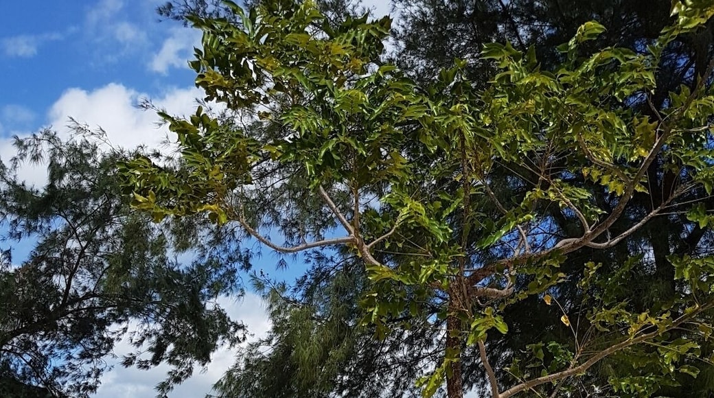 "I need vitamin sea"
One of my favourite islands as it is peaceful, beautiful and not overrun with tourists
#lifeatexpedia #blue #sea #vitaminsea #indonesia #perfectsummer #summer