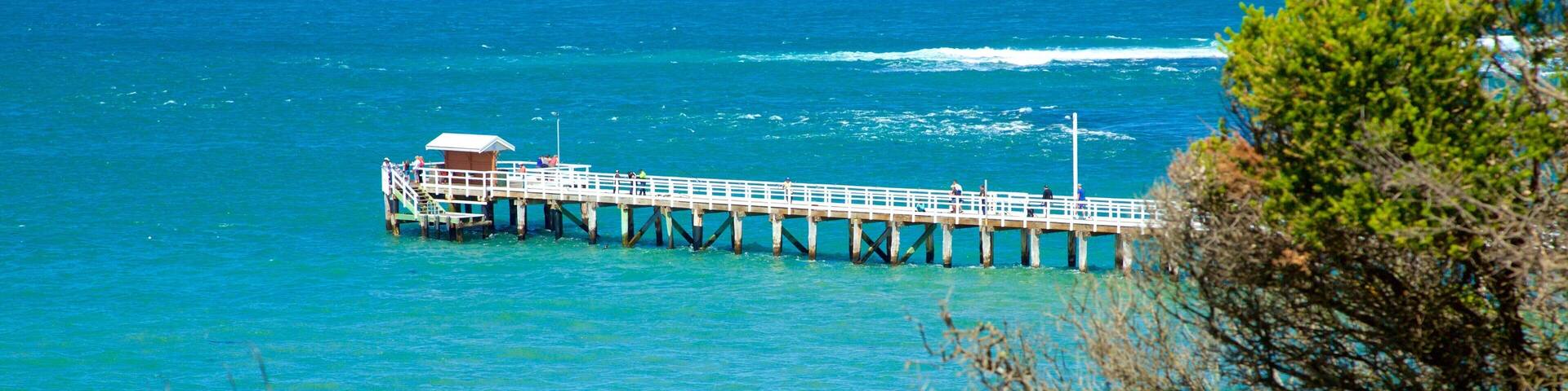 Point Lonsdale showing general coastal views