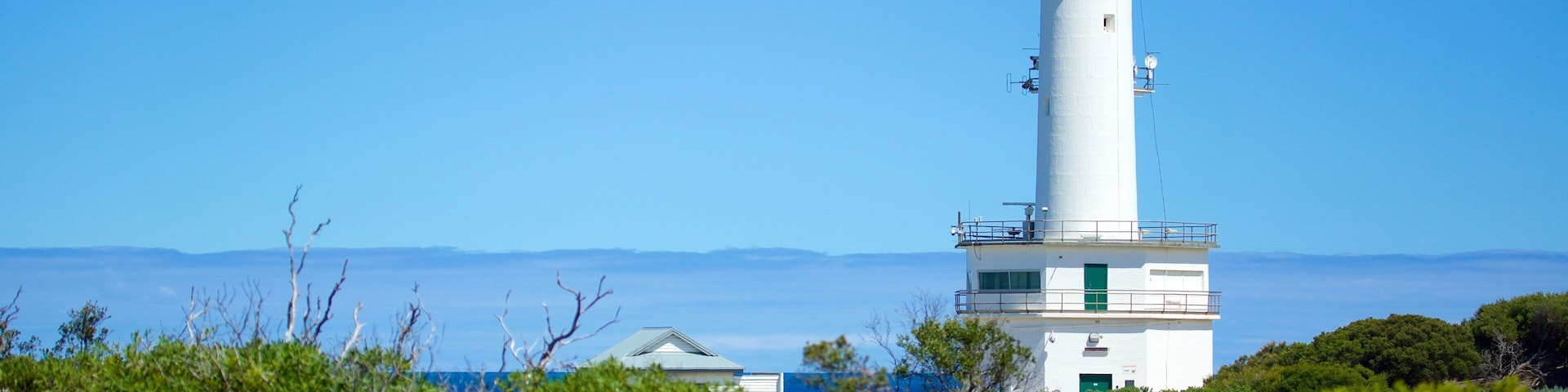 Un faro con estructura blanca y verde, rodeado de un follaje verde exuberante y un cielo azul despejado.