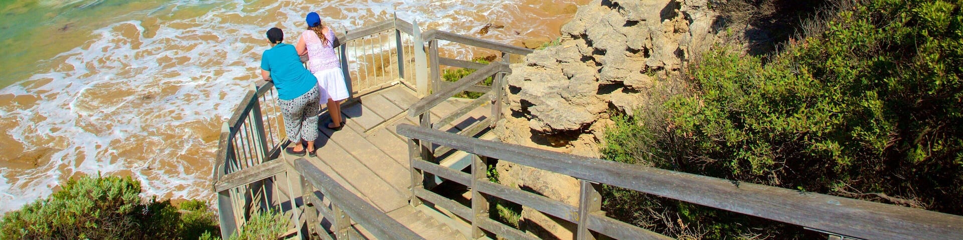 Point Lonsdale som omfatter udsigt og udsigt over kystområde såvel som en lille gruppe mennesker