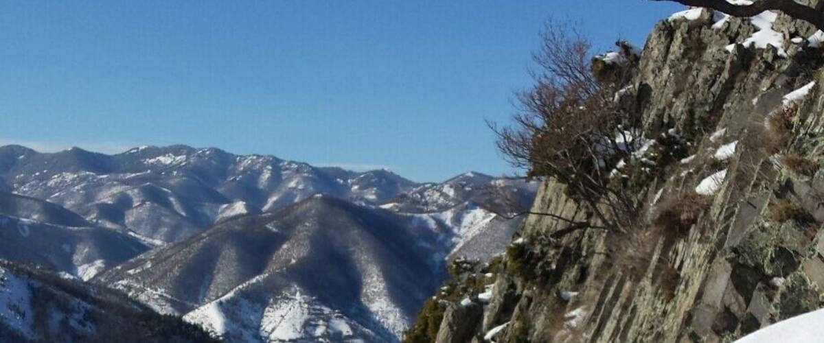 Over the river Borovitsa. Amazing view from the top.